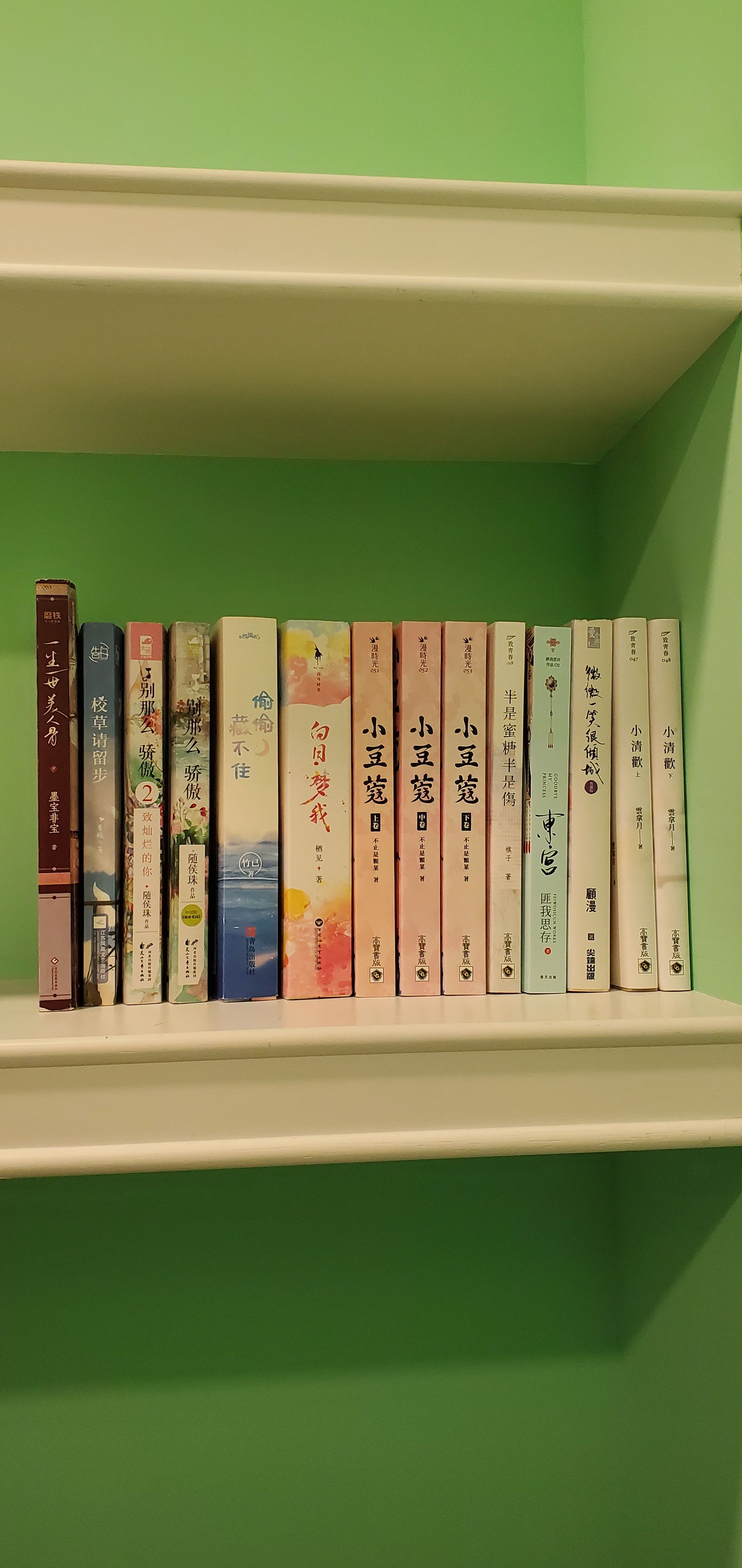 只有翻過一次的小說