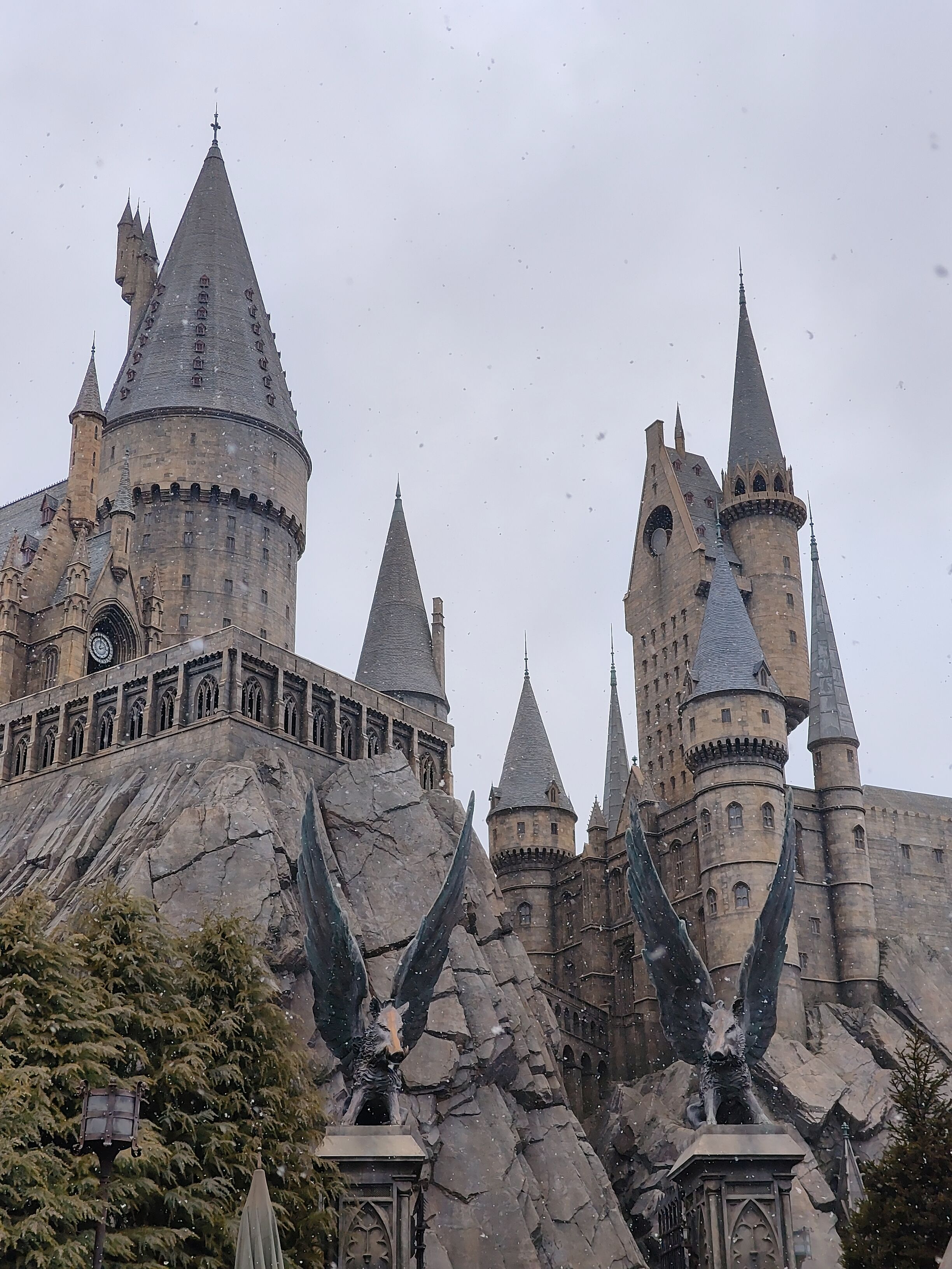 哈庫客訂代購品