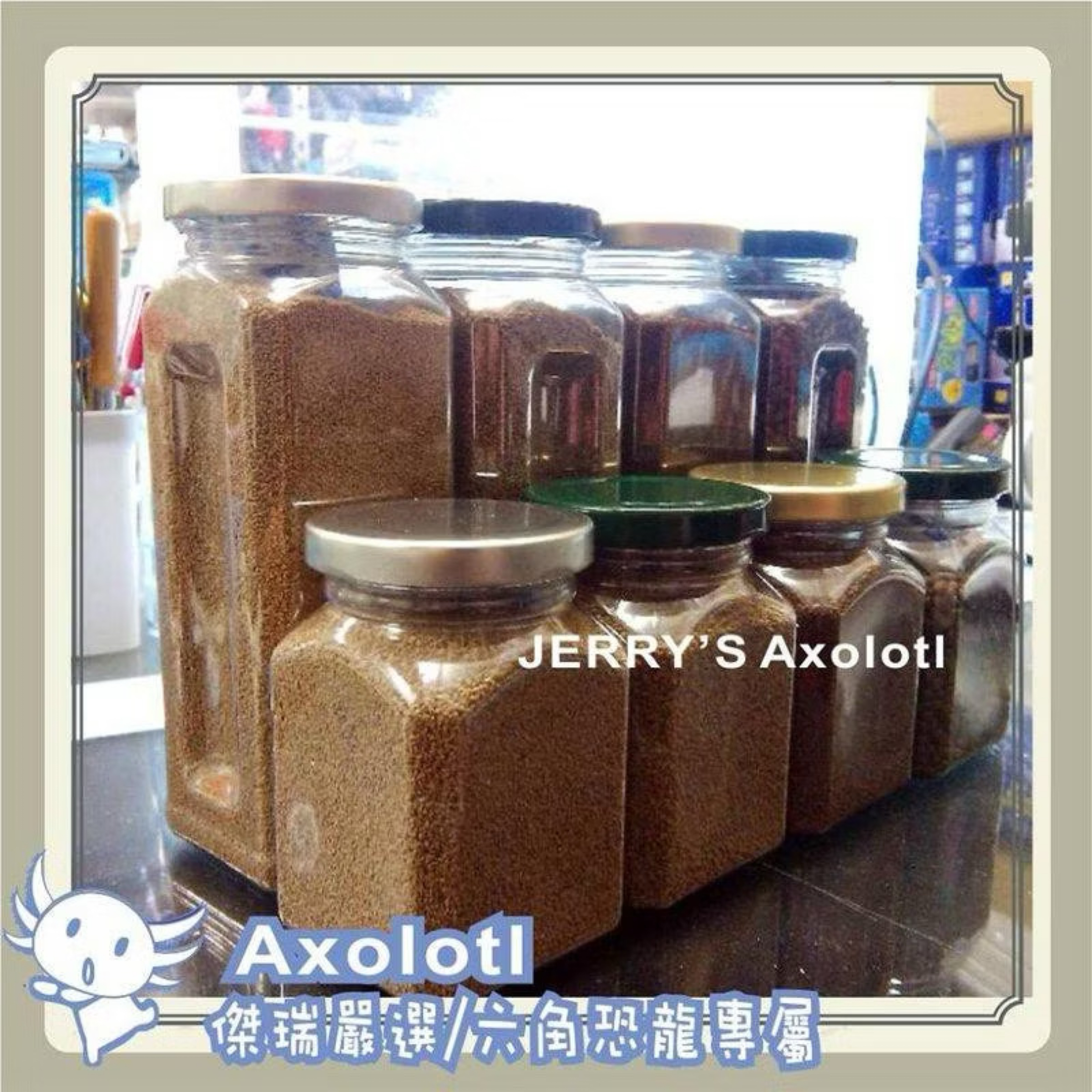 【傑瑞嚴選/六角恐龍專屬】六角恐龍飼料S/傑瑞推薦六角恐龍專屬飼料/AXOLOTL飼料/肉食沉底飼料