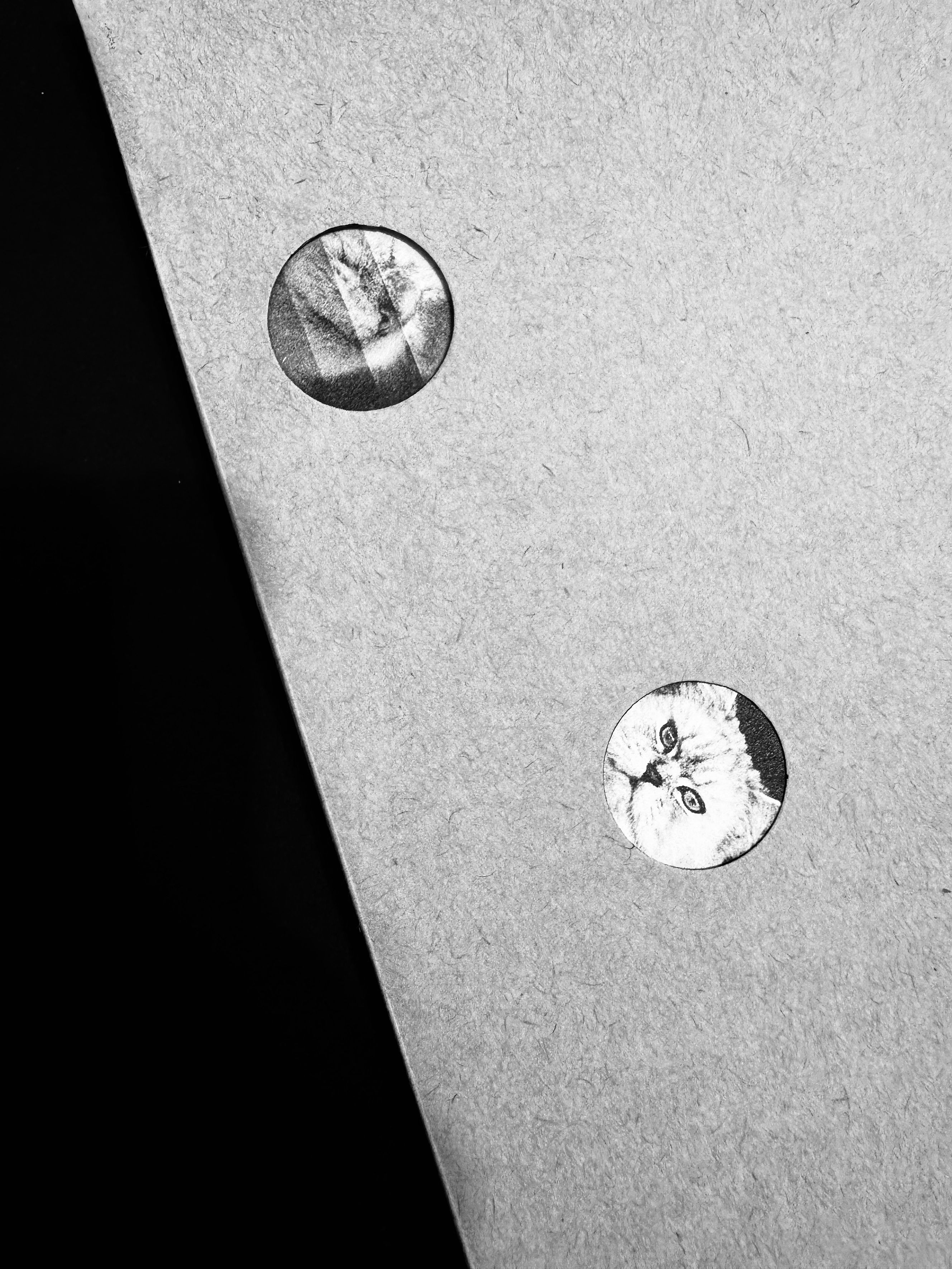 《 米米 mimi 》攝影集（新書衣款）