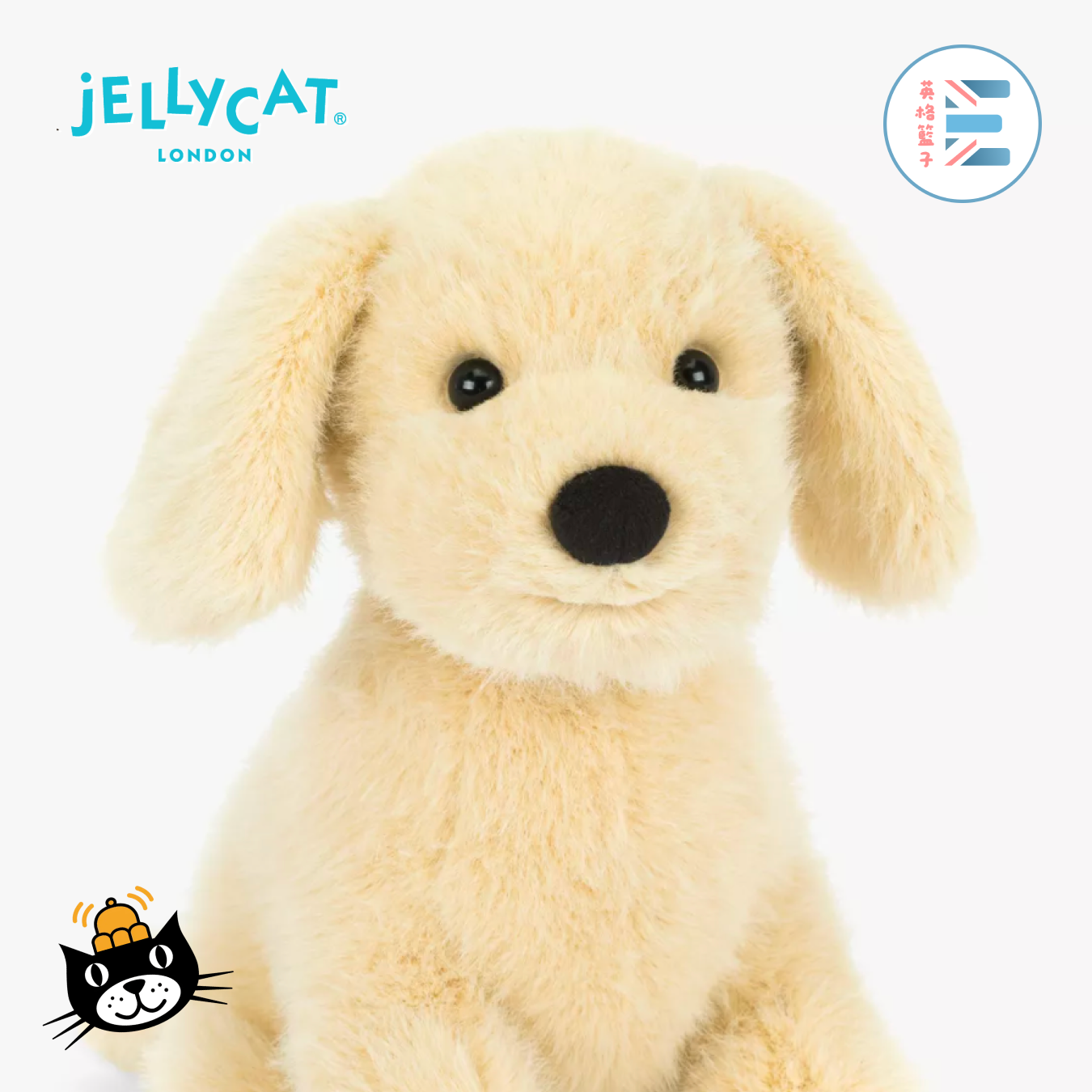Jellycat | 小金毛