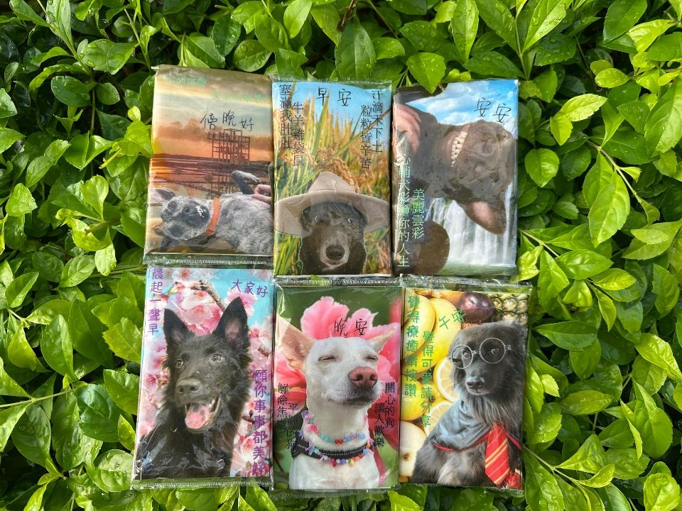 超ㄎㄧㄤ心輔犬面紙組