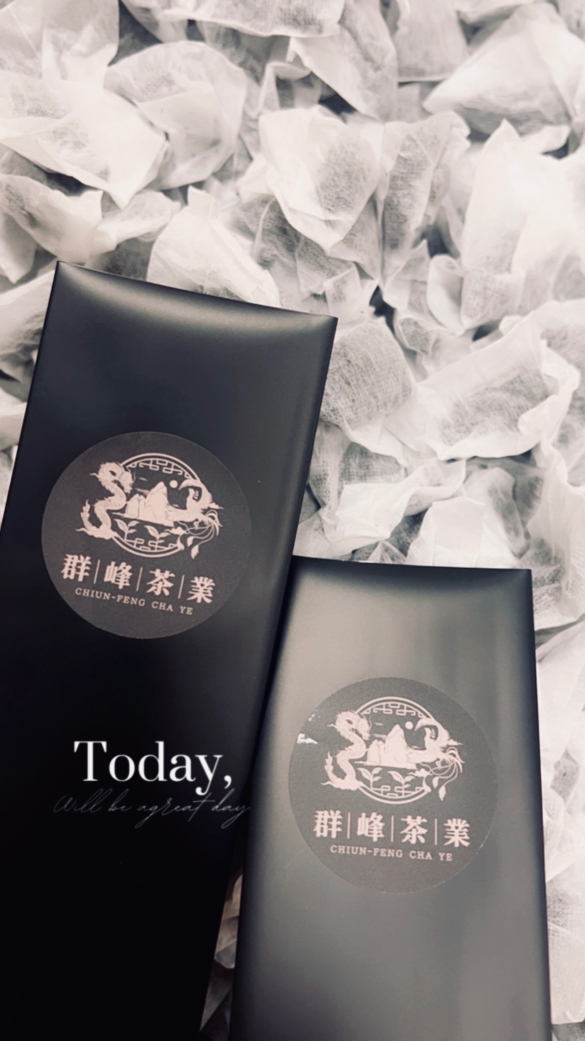 重焙烏龍茶包