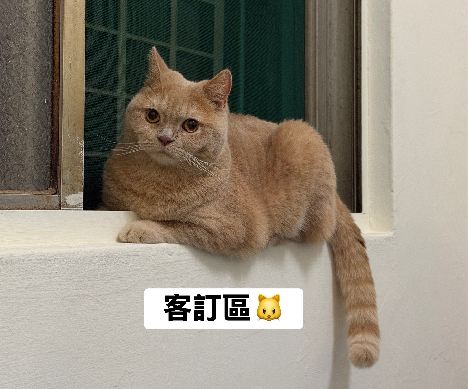 客訂區（已預訂勿下）