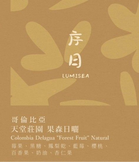 序日 LUMISEA 哥倫比亞 天堂莊園 果森日曬 掛耳包