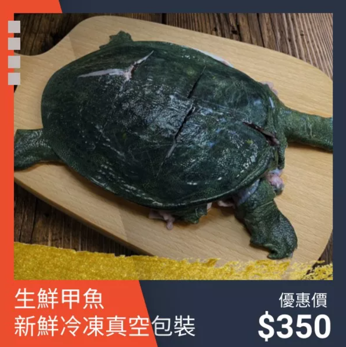 回購率第一 【台灣鱉】生鮮甲魚 600g/隻 已處理 剁塊脫膜 真空包裝 SGS檢驗合格 三杯 藥膳 清燉 蒜頭 羊肉爐