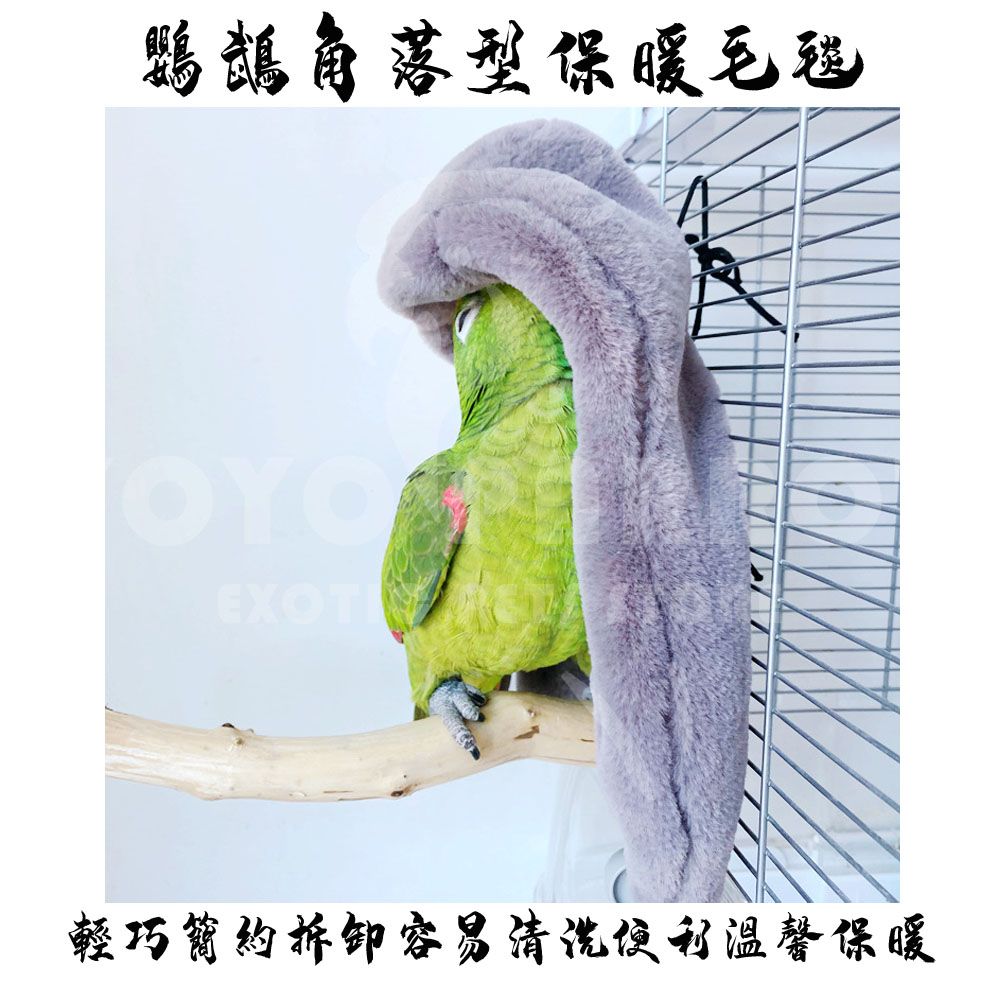 鸚鵡角落型保暖毛毯