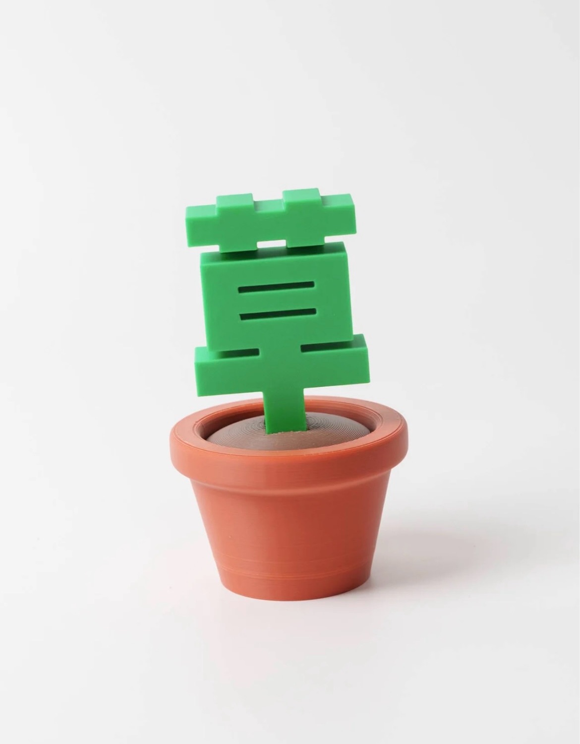 「一盆草」不用澆水的盆栽