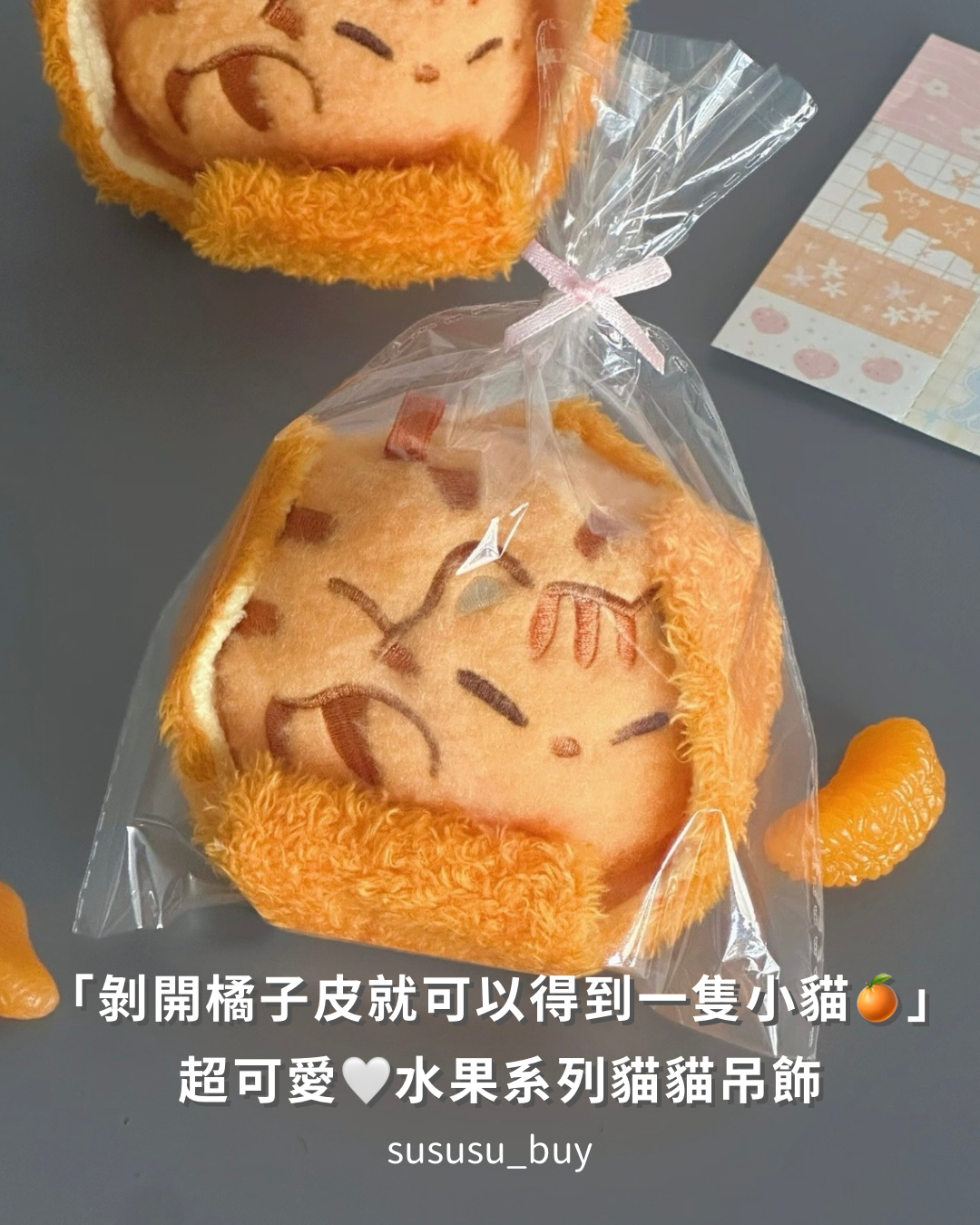 夏天限定 水果系列貓貓🐱