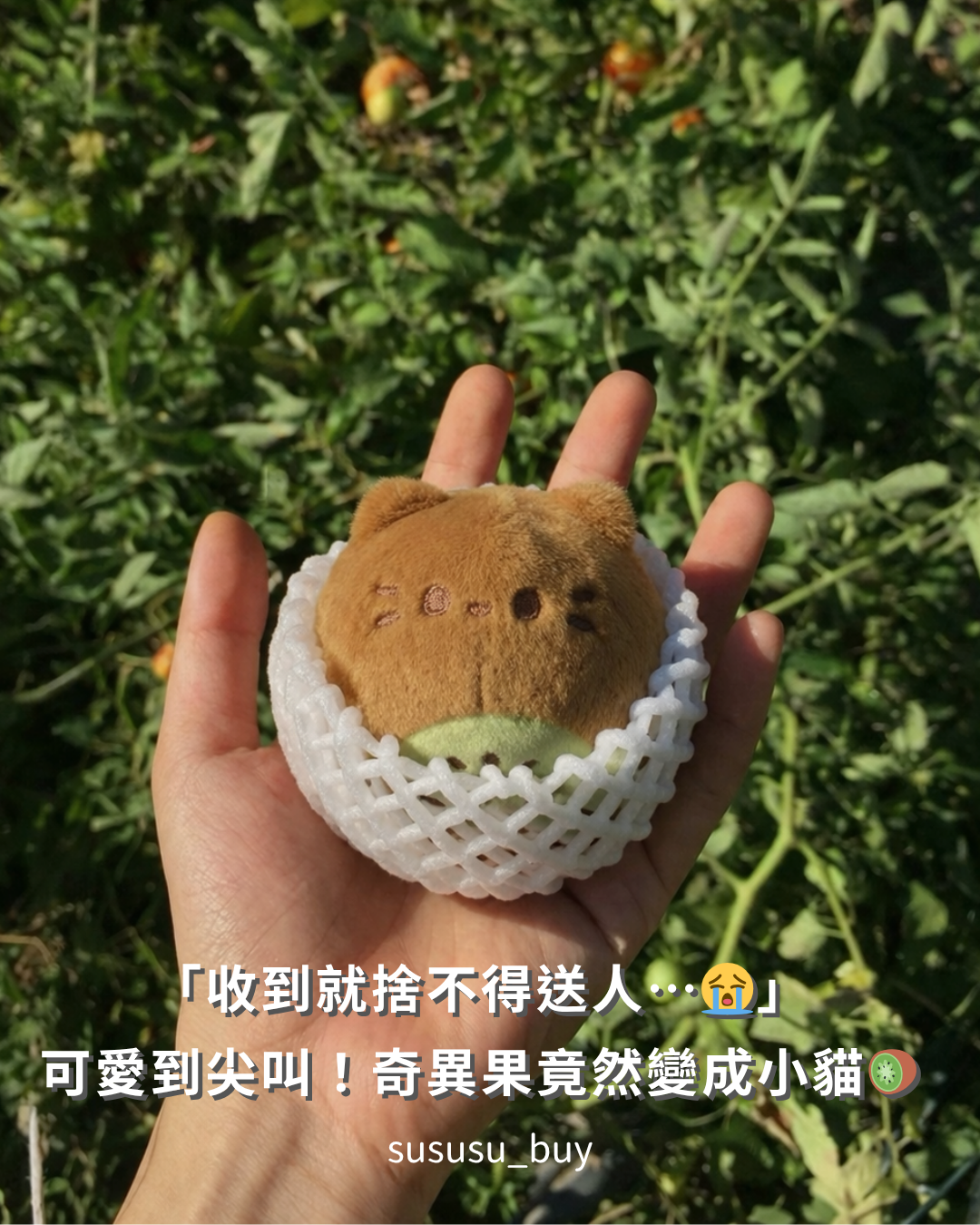 奇異果貓貓🥝🐱絨毛吊飾