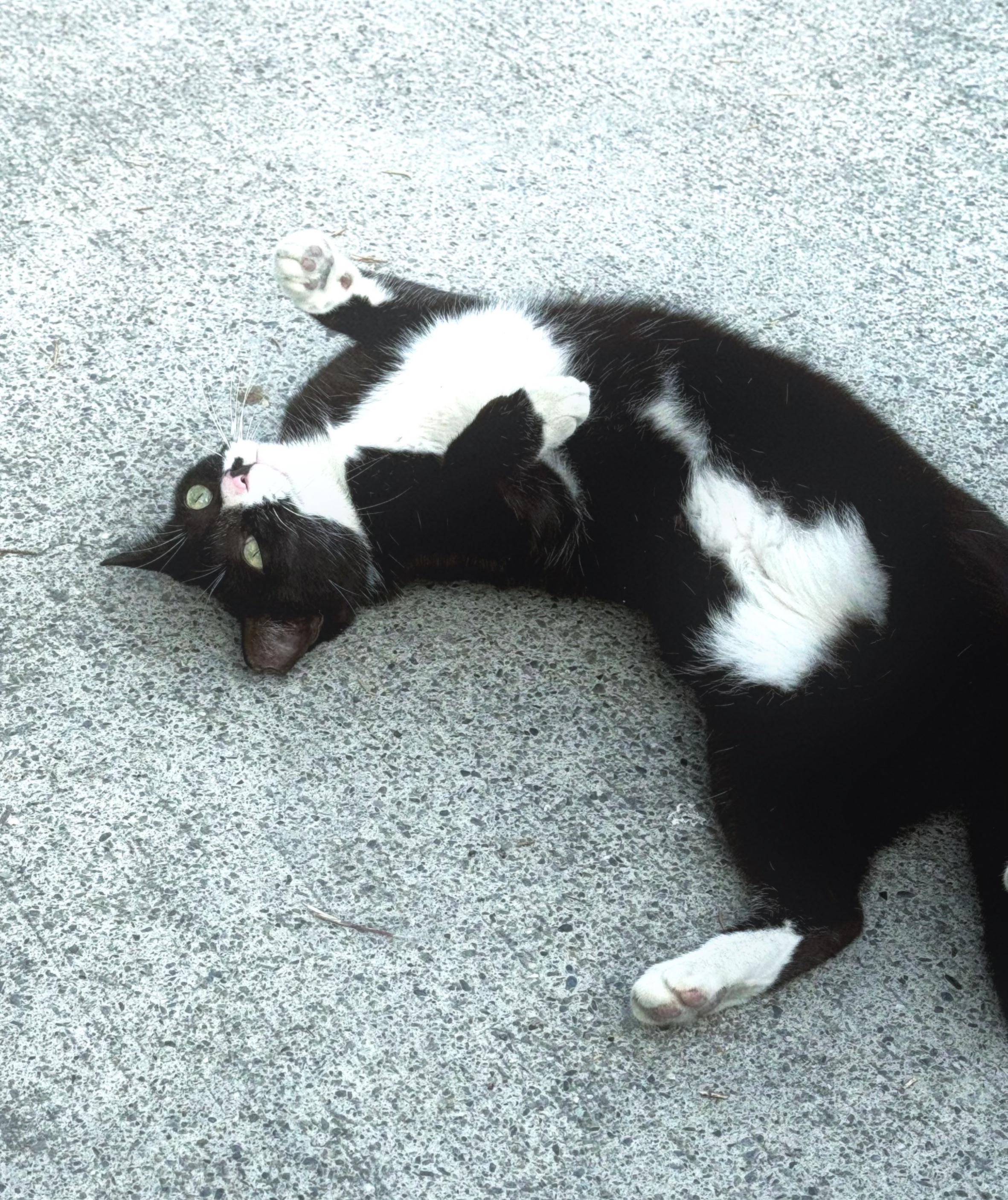 維持賣場勿下單謝謝