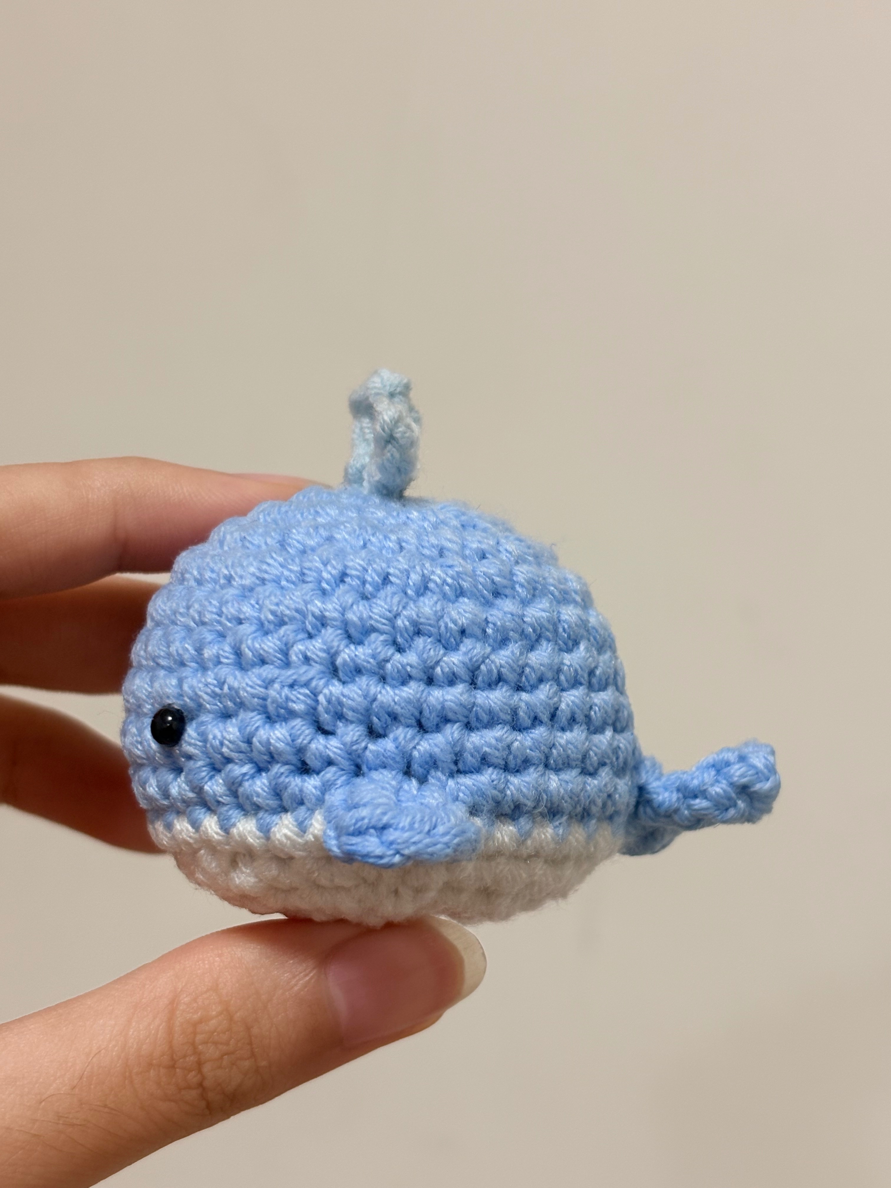 小鯨魚