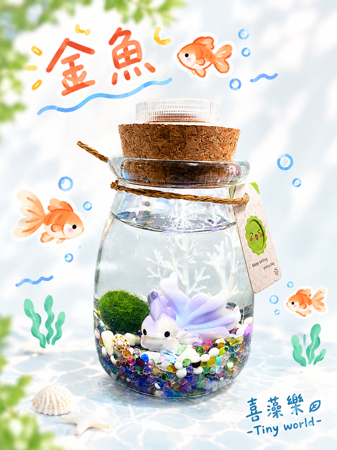金魚-藻球生態瓶