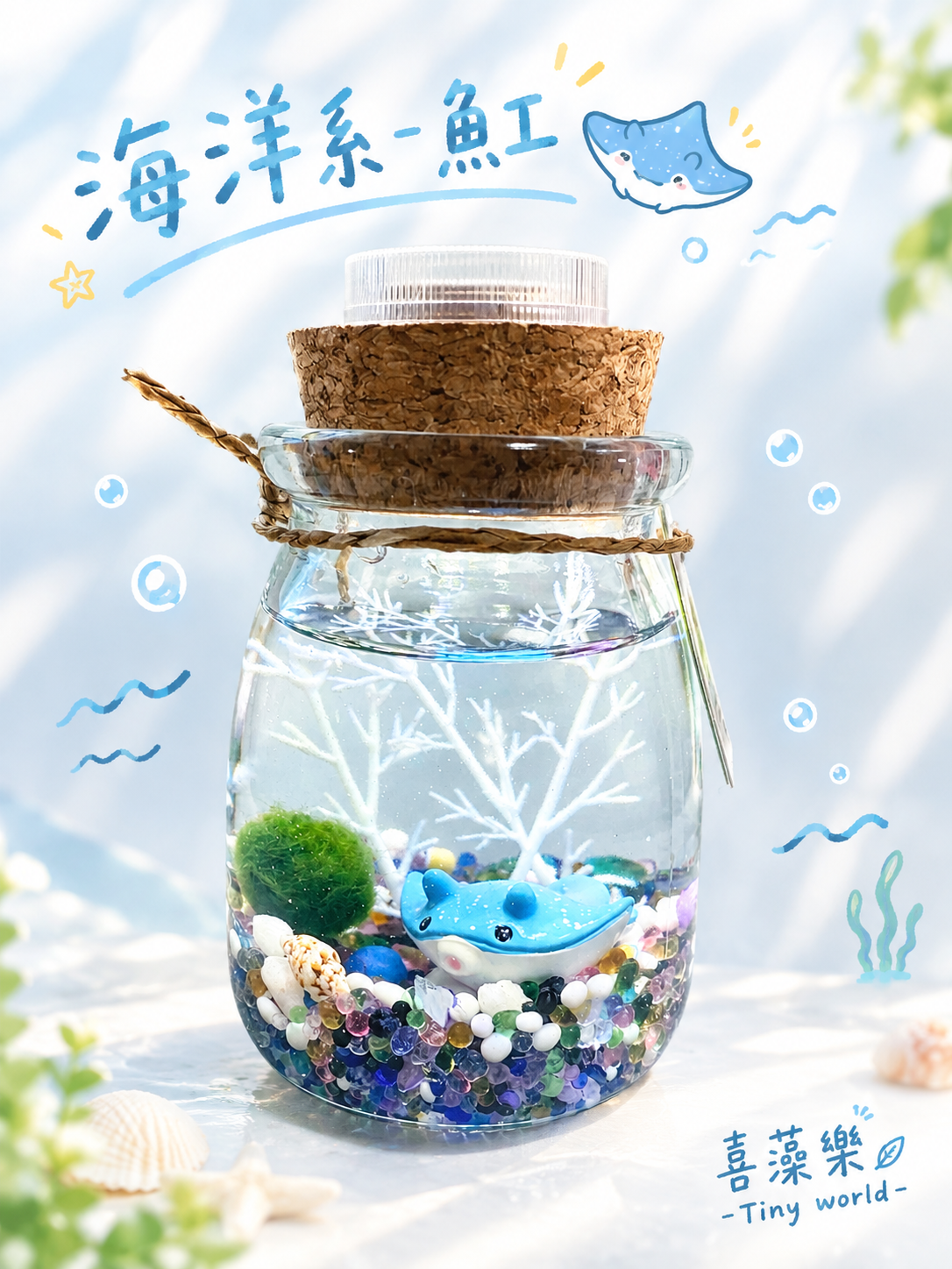魟-藻球生態瓶