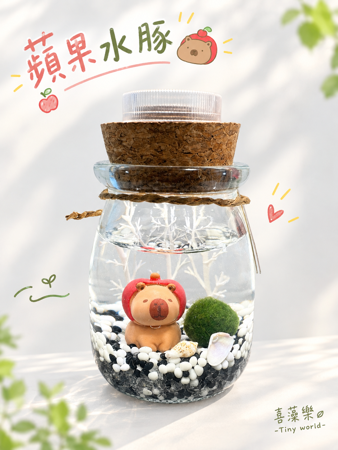 蘋果水豚-藻球生態瓶