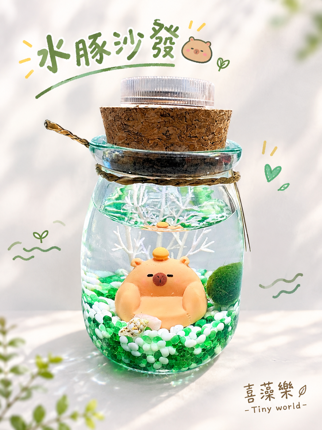 水豚沙發-藻球生態瓶