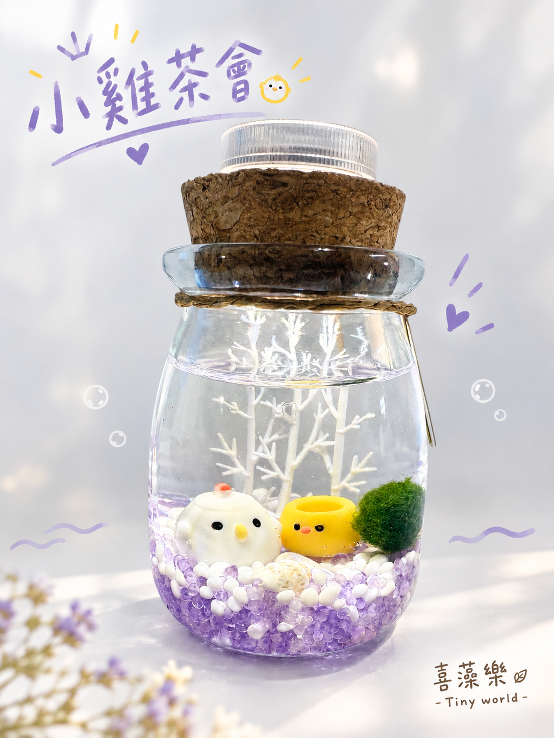小雞茶會-藻球生態瓶