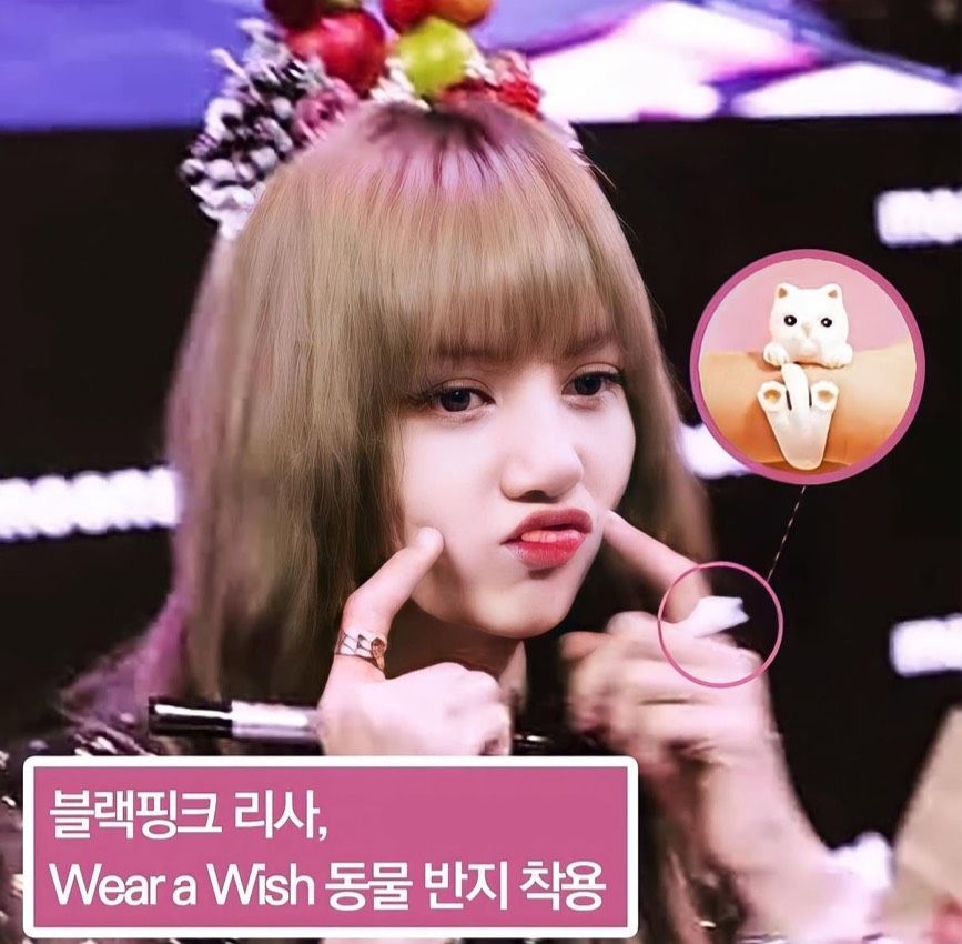 【預購】Lisa 同款手工珐瑯瓷動物戒指💍 （勿直接下單 請先私訊IG詢問⮕@_w.e_shop）