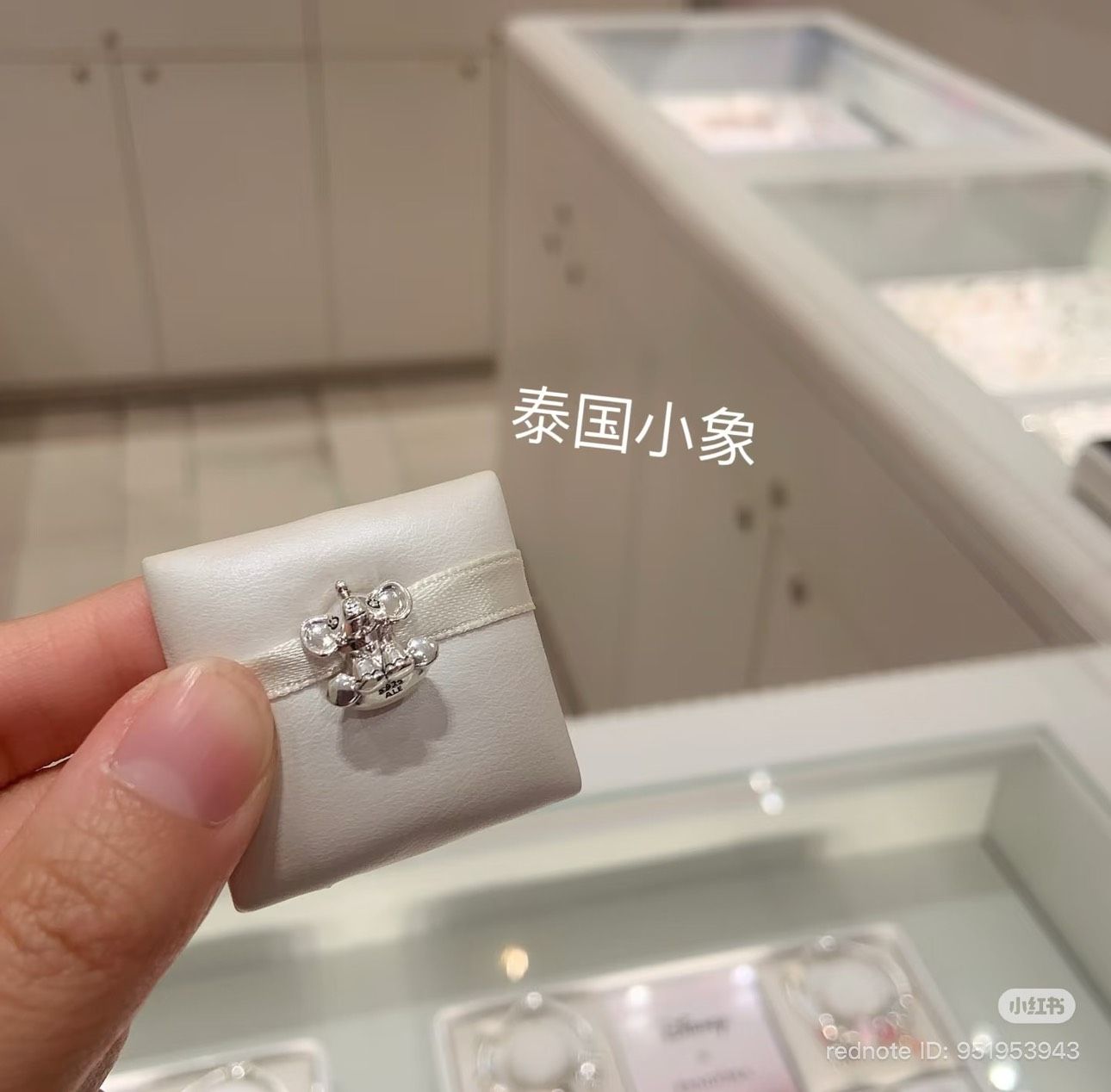 【預購】Pandora（勿直接下單 請先私訊IG詢問⮕@_w.e_shop）