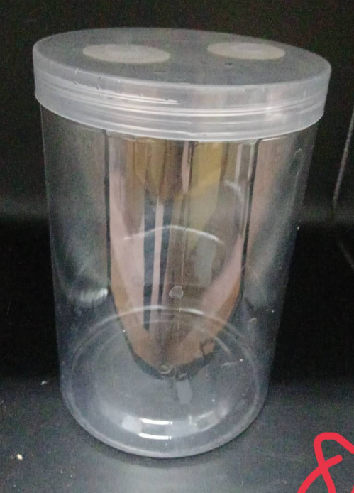 1000CC （質地偏軟）