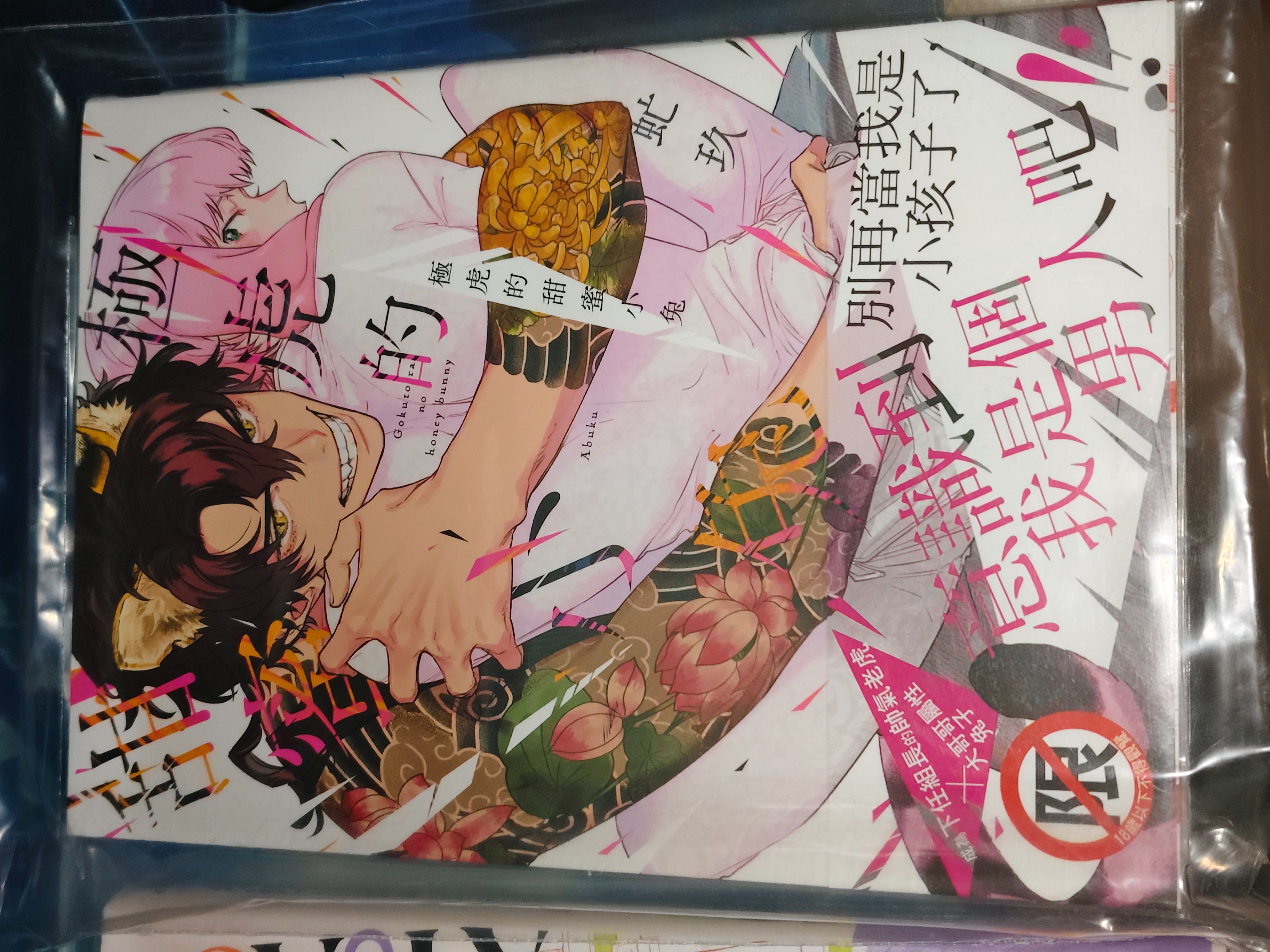 BL漫畫 書籍