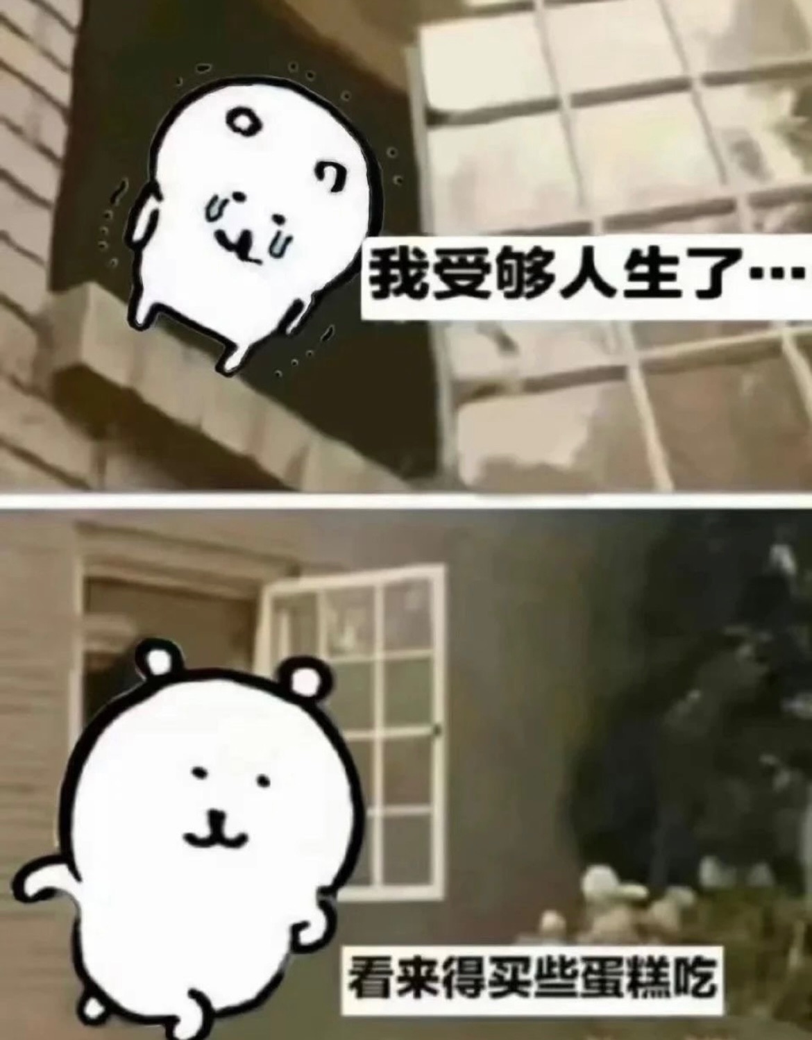 半買半贈區（可自由選購）