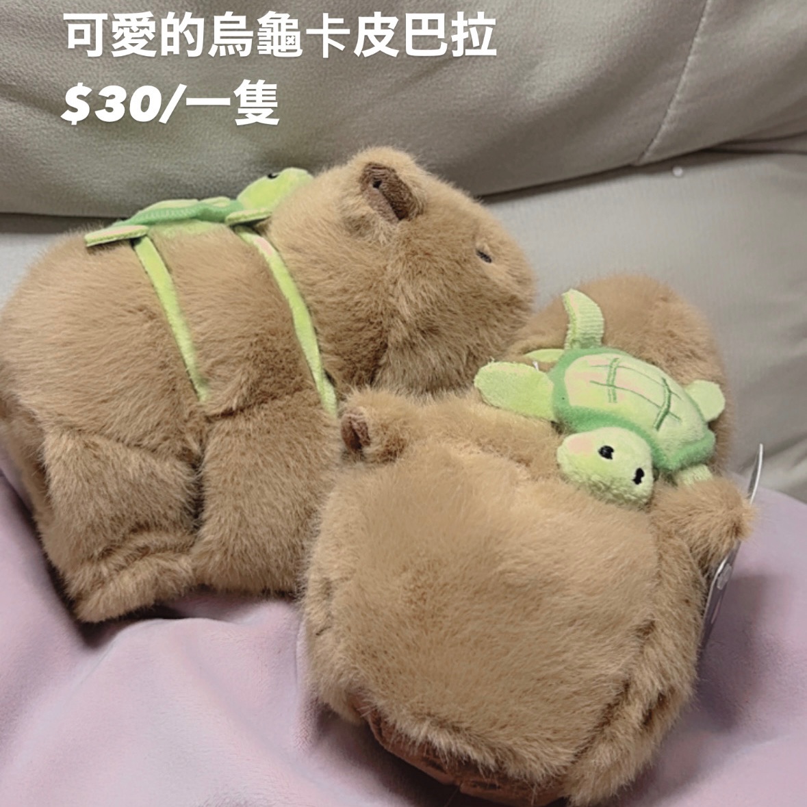 拍拍尺卡皮巴拉