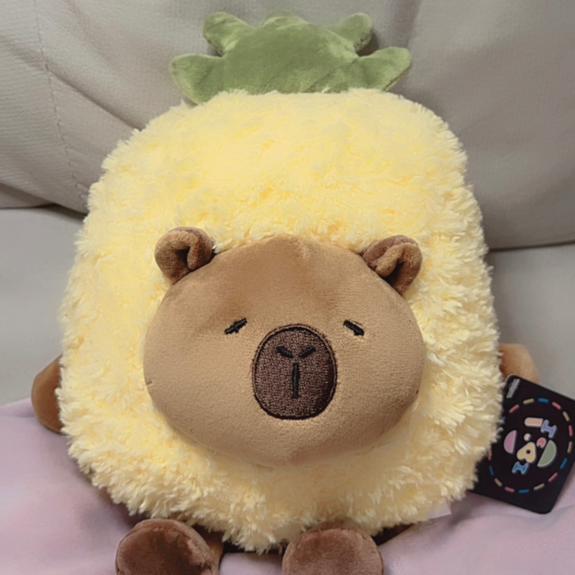 鳳梨口味卡皮巴拉