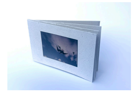 布拉格鳥之書 （2025）線上特惠價99