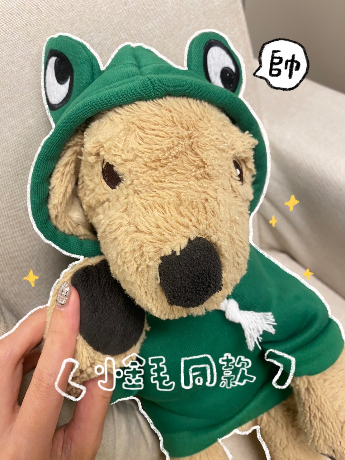 小金毛同款青蛙裝