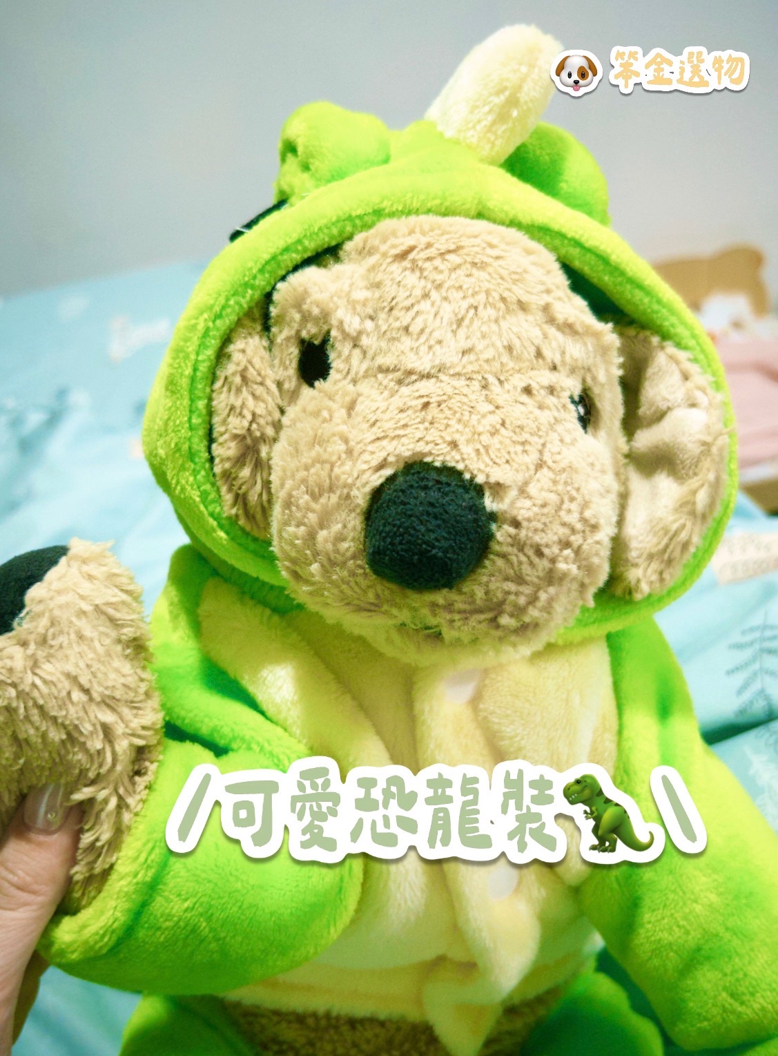 笨狗子同款可愛恐龍裝