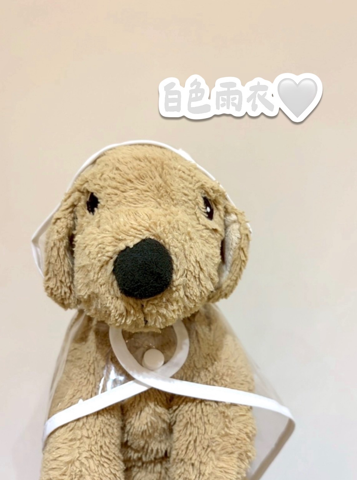 萌寵透明雨衣