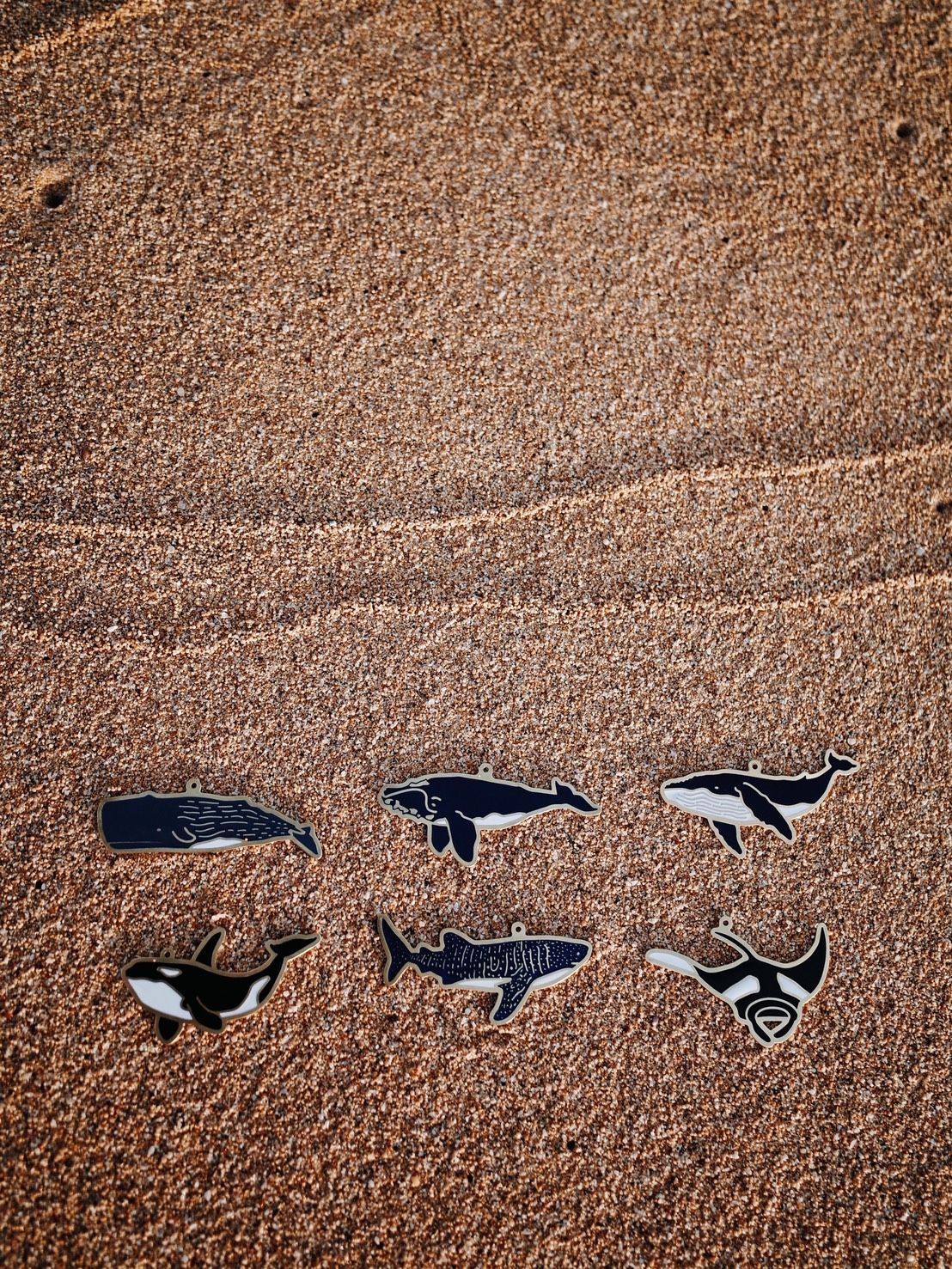 海洋生物樹脂釉彩