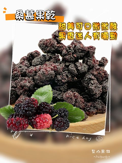 【梨山果灩】彰化桑椹果乾160g分享包小農農特產品伴手禮季節限定低溫烘焙Q軟微糖口味