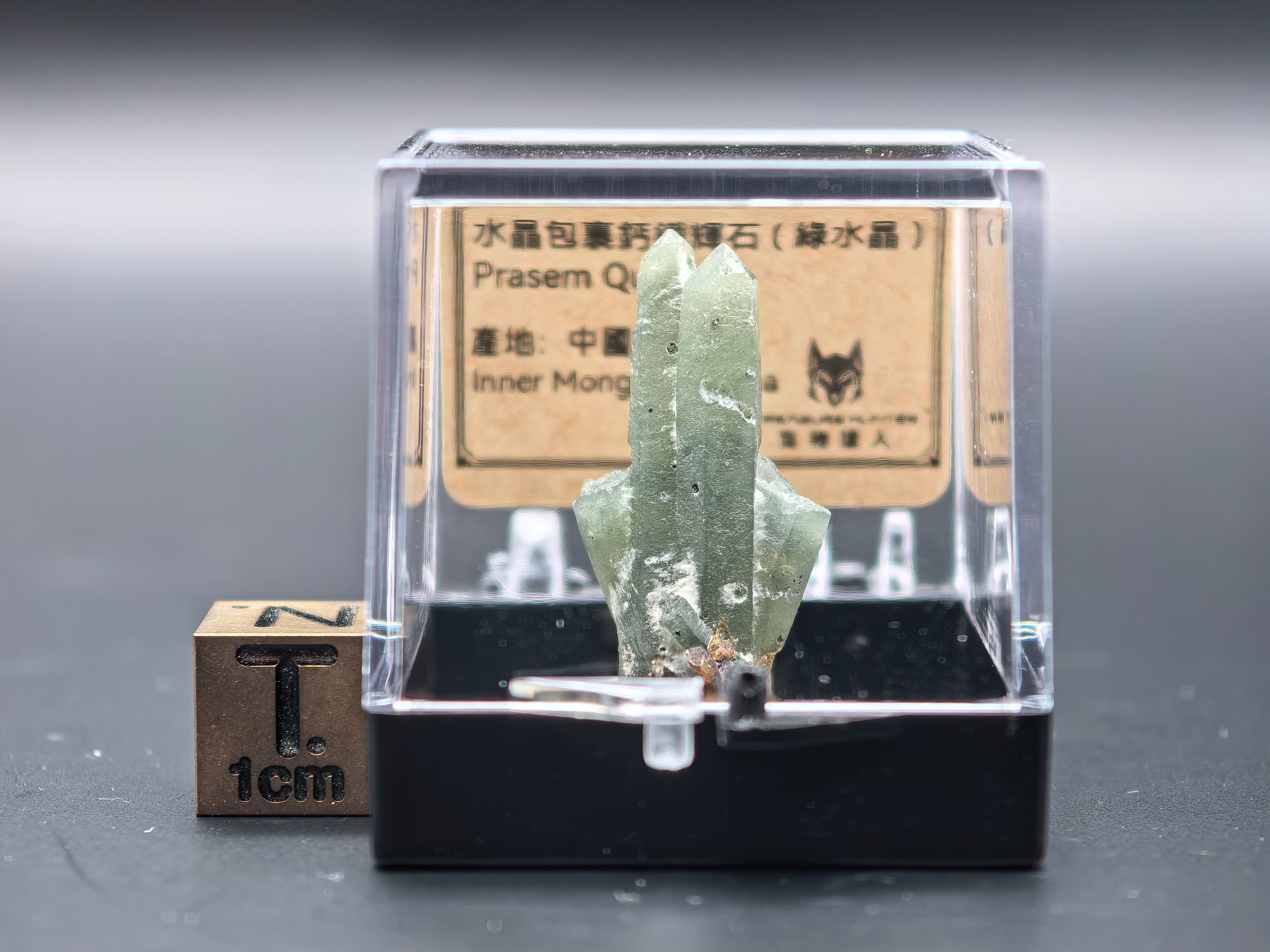 水晶包裹鈣鐵輝石-內蒙