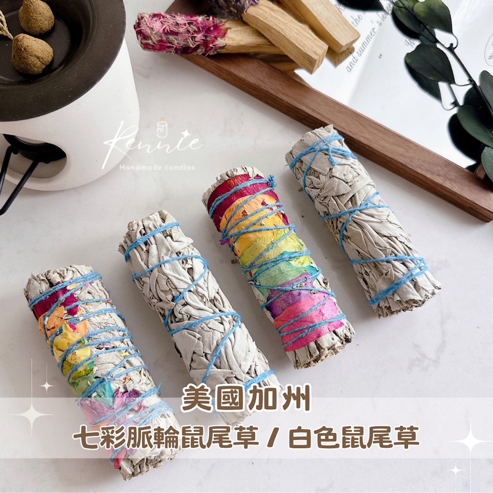 美國加州 七彩脈輪鼠尾草/白色鼠尾草 能量清理 天然薰香 冥想靜心 水晶淨化 居家儀式 淨化空間