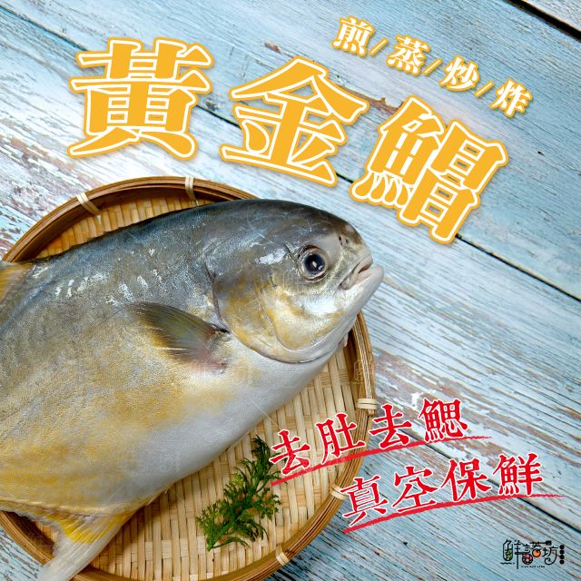 黃金鯧