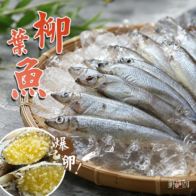 加拿大柳葉魚
