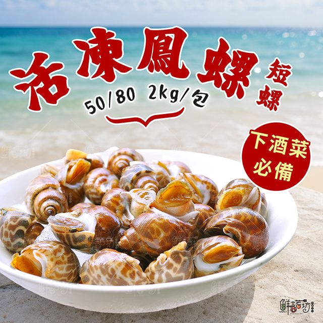 活凍帶殼鳳螺