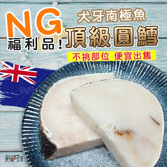 NG頂級純正圓鱈