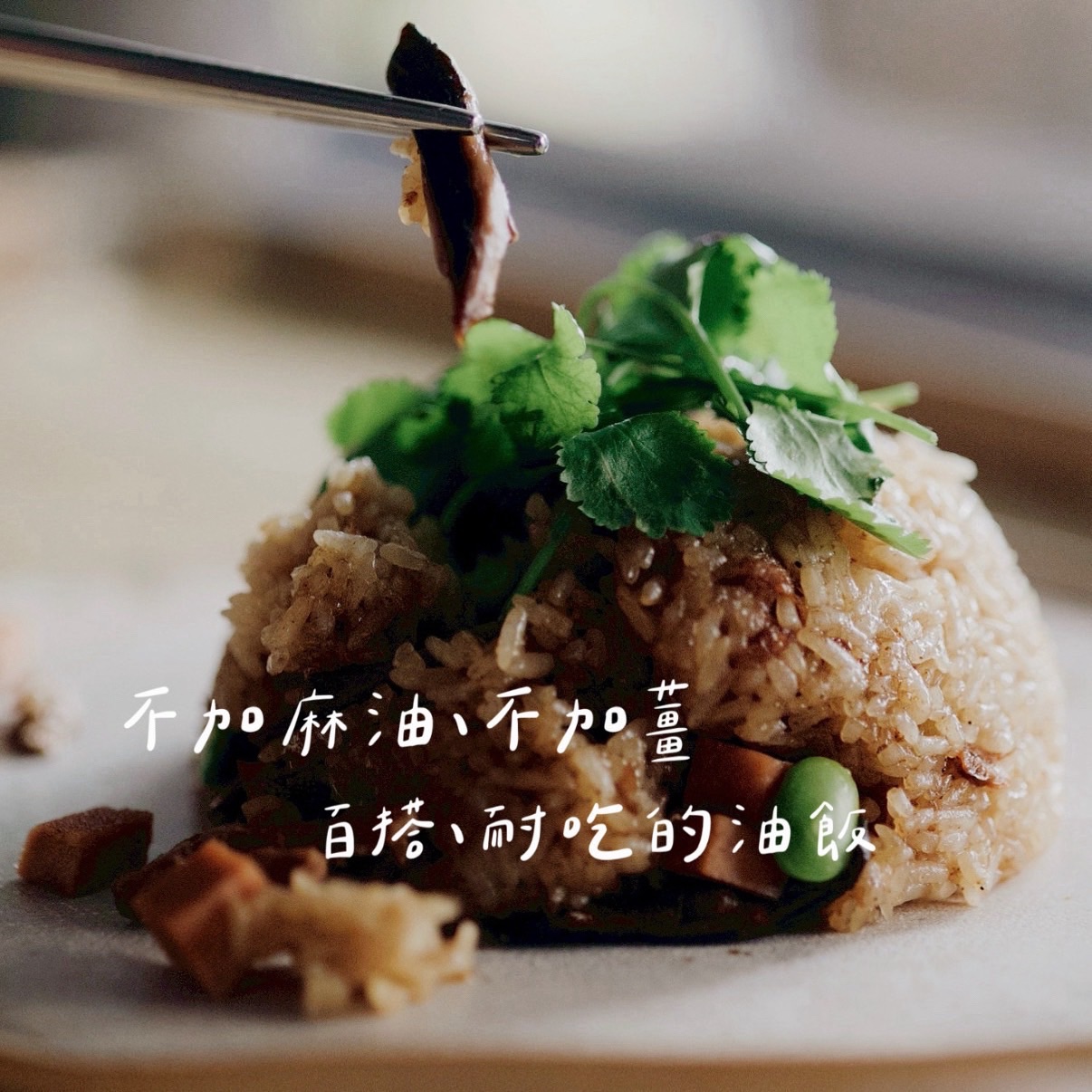 小森蔬so you bun 純素油飯