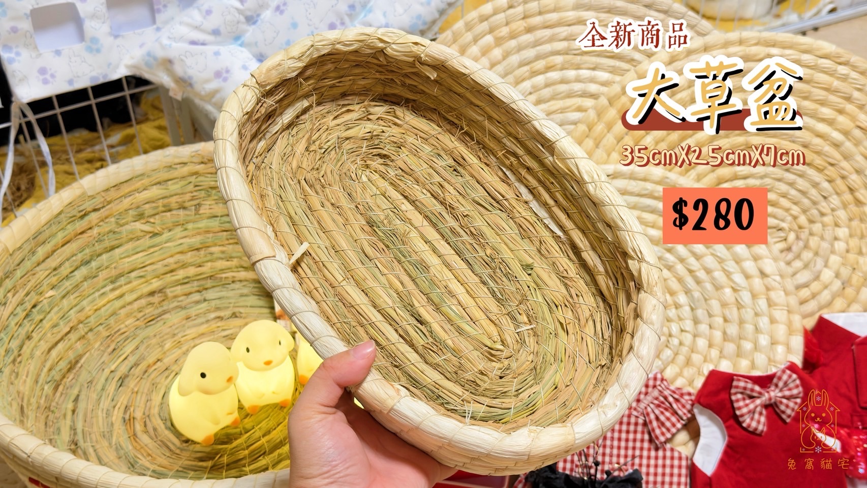 大草盆
