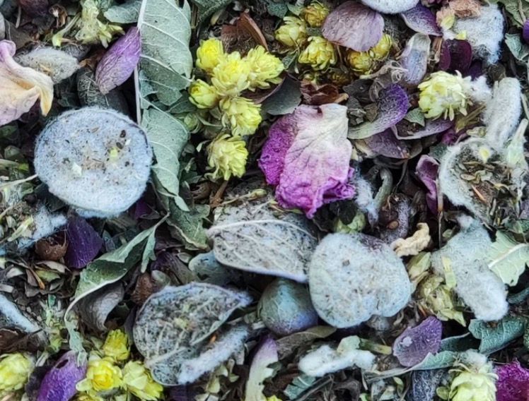 混合茶  ▎嚴愛草蠟菊永生花 / 抗氧化活化修復舒眠（散茶）