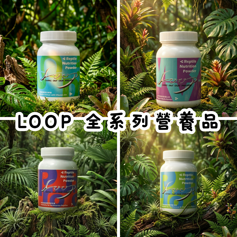 LOOP 爬蟲專用營養品