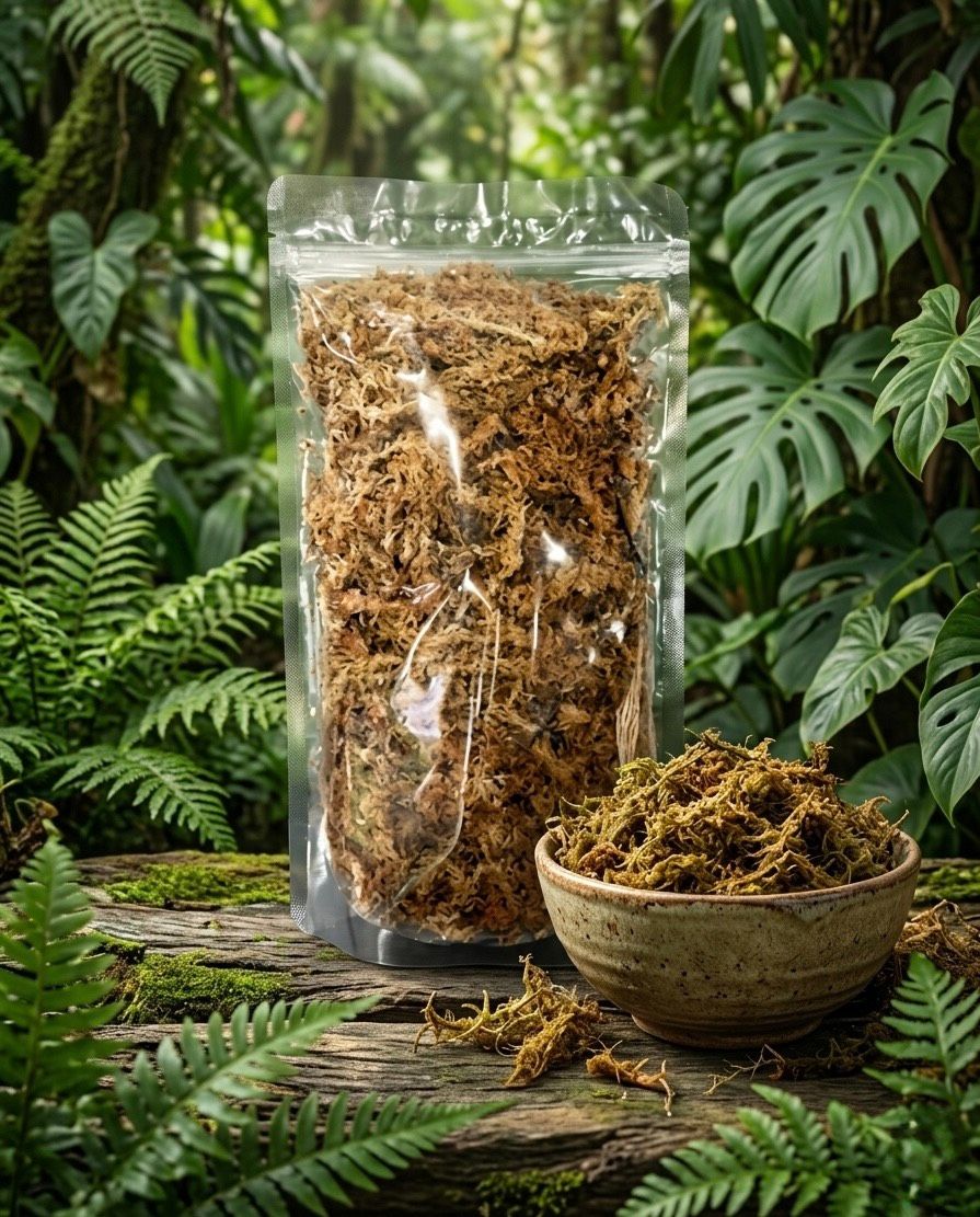 | 爬爬食堂-ReptileFeeder |水苔