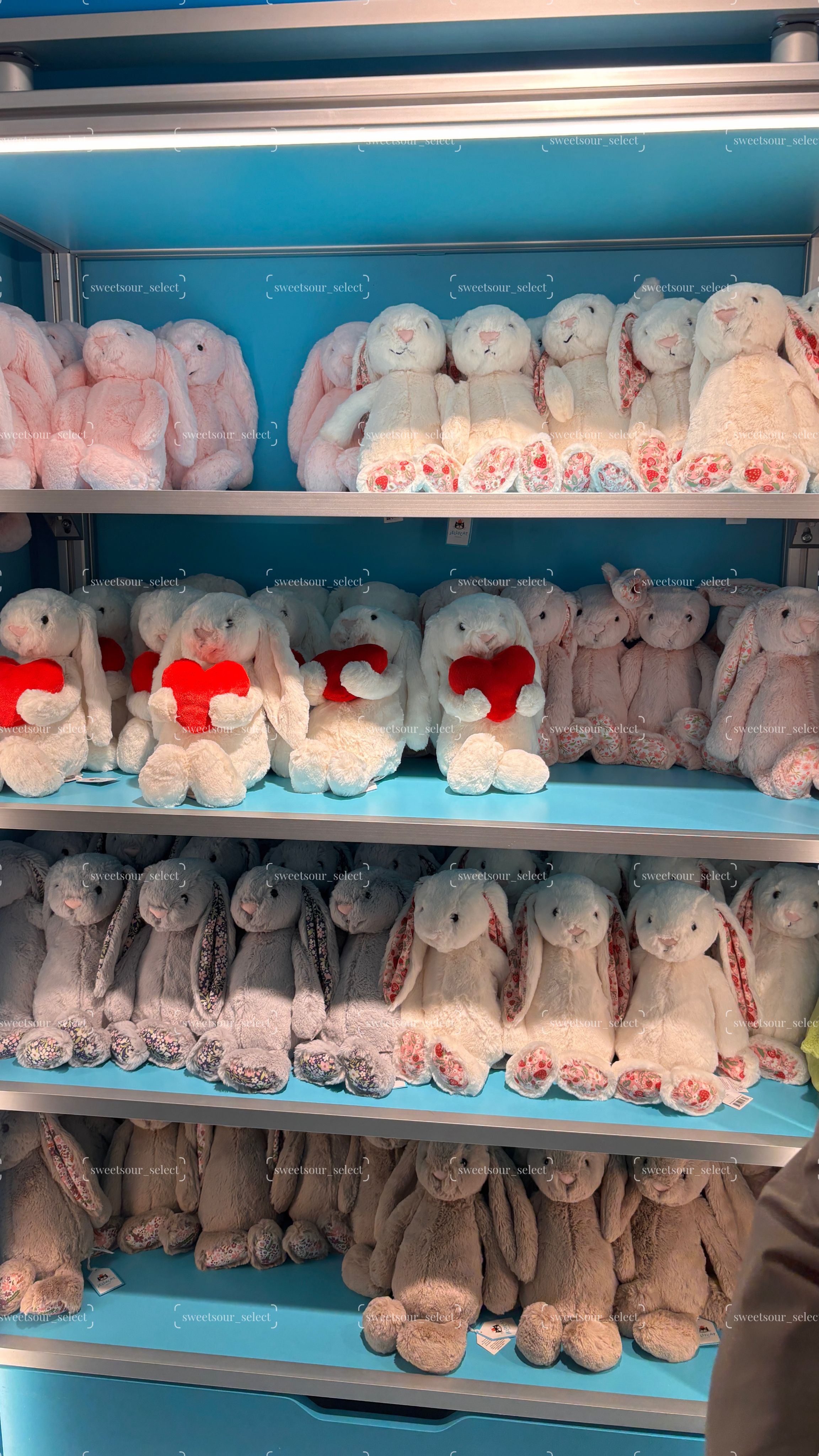 Jellycat 邦尼兔兔們！