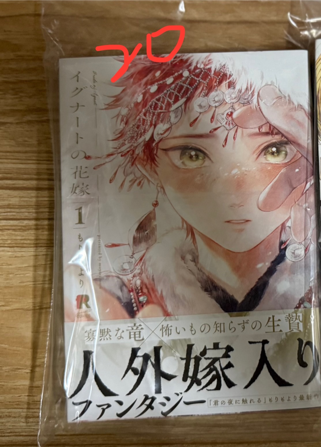 日文書