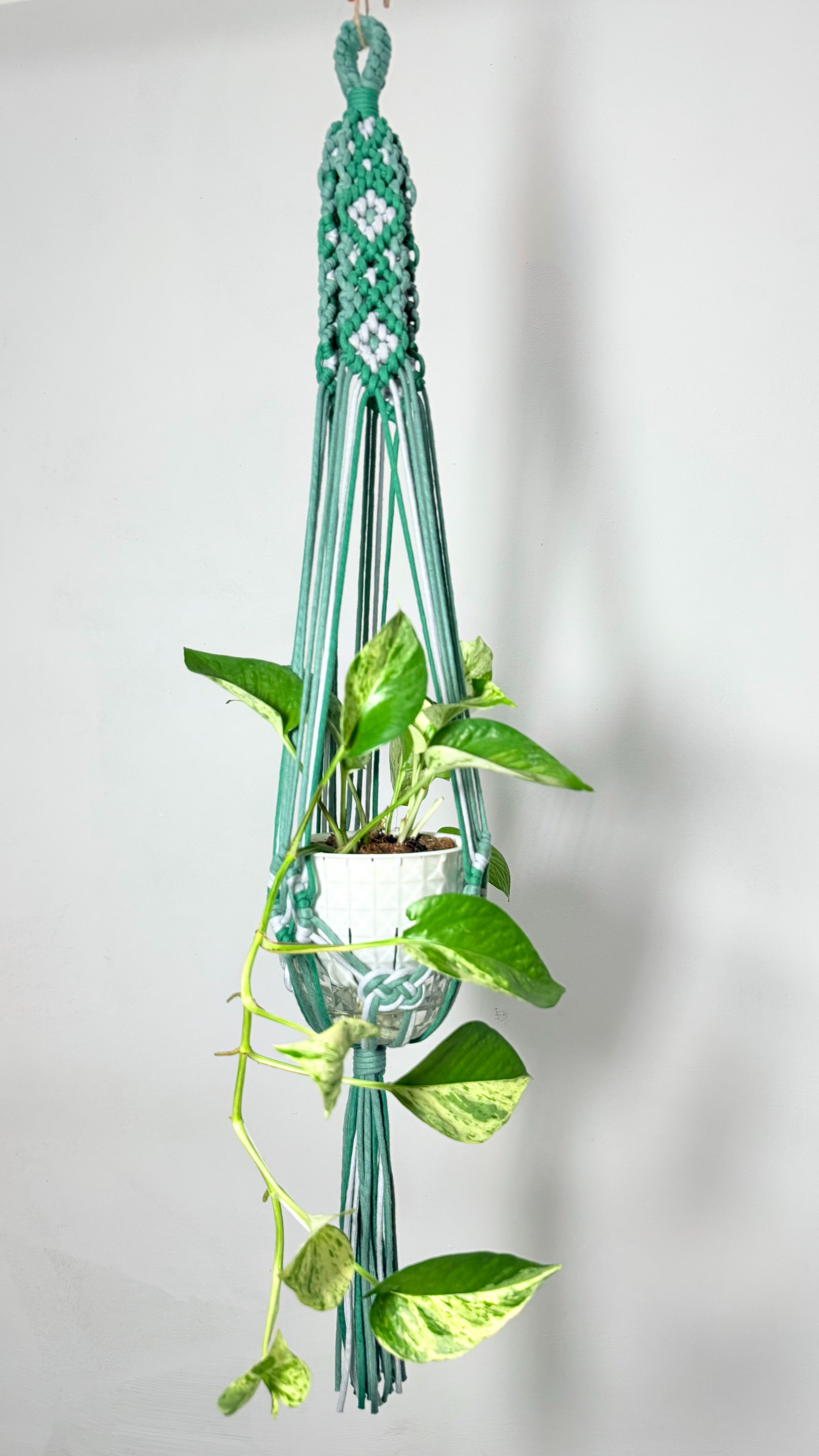【伴調植】聽植物說話的手工編織吊繩｜Macramé 職人質感系（現貨）