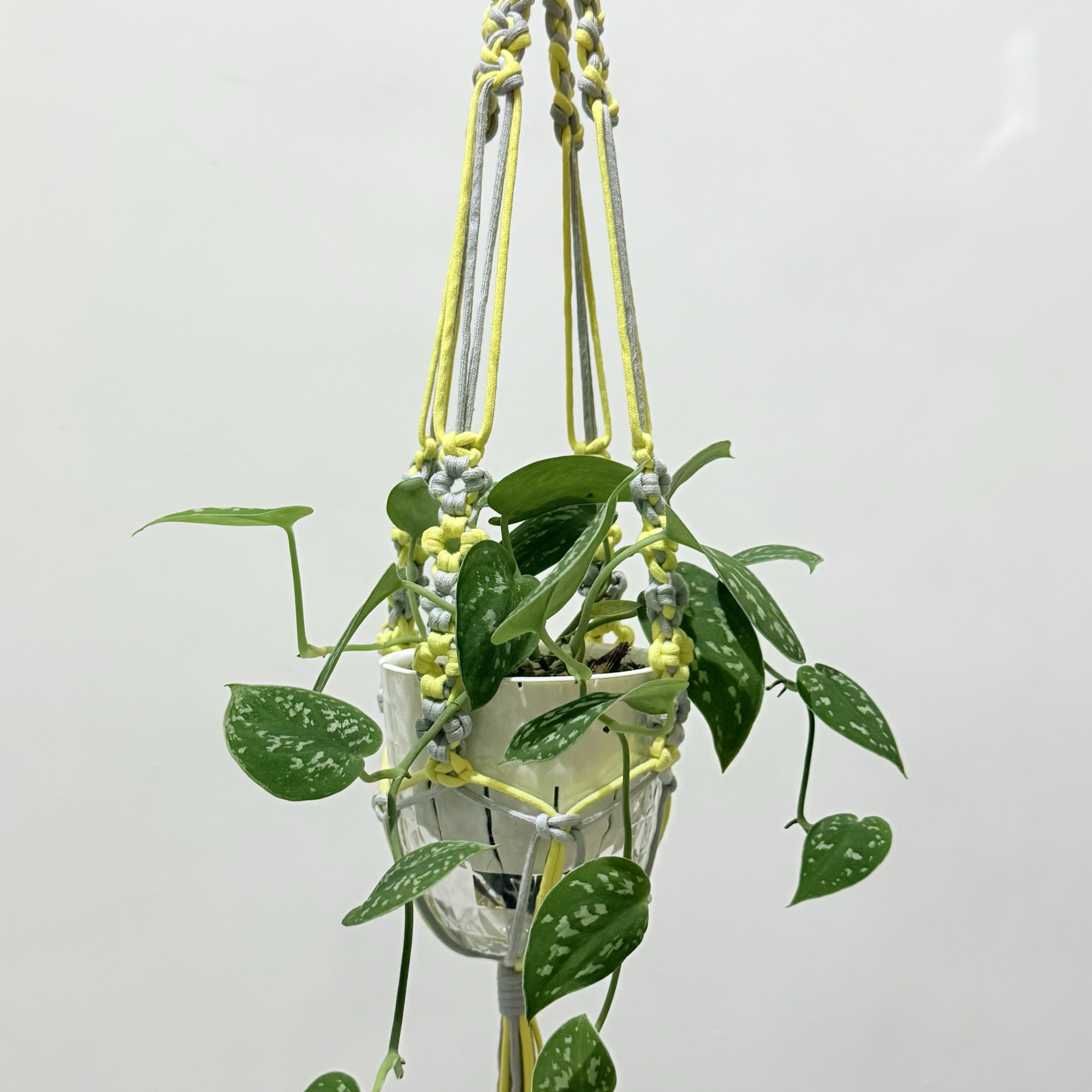 棉繩植物吊架｜糾結與清明