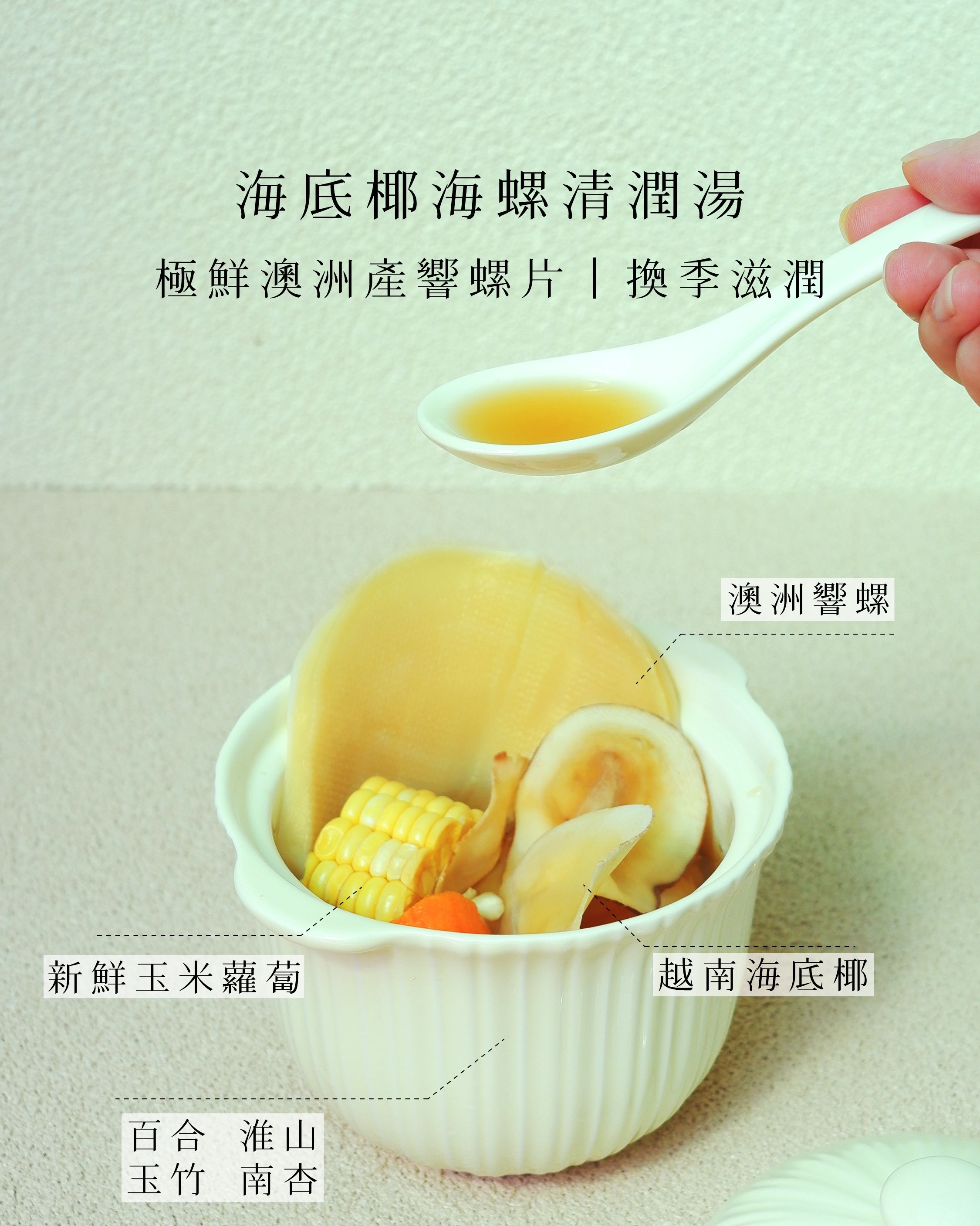 海底椰海螺清潤湯｜家嫂皇牌海味湯